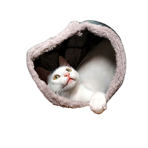 Cute White And Gray Kitten Peeking Out Of A Furry Cat Tunnel Indoors. 13484 - Cat PNG image with transparent background